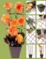 /album/fotogaleria/manualidades-paso-a-pas-florero-jpg/